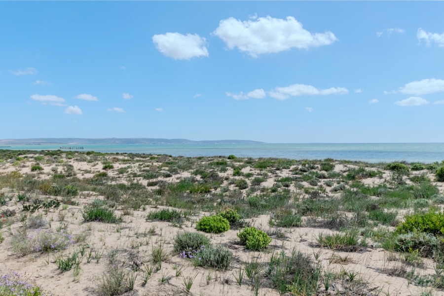 3 Bedroom Property for Sale in Atlantic Waves Estate Western Cape
